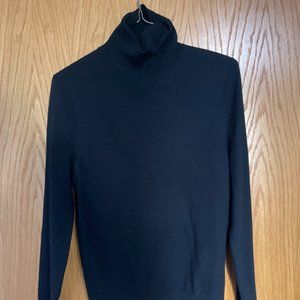 Turtle Neck Merino Wool Black Small Banana Republic